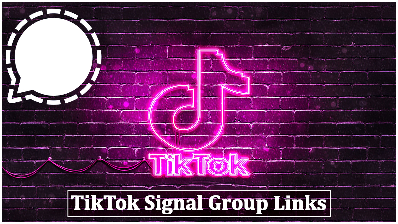 TikTok Signal Group Links